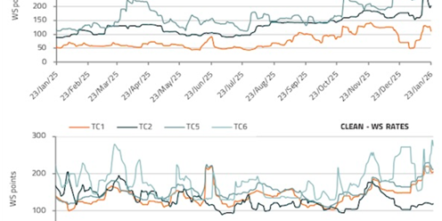 The demand for feeder container ships is experiencing a strong upward trend.