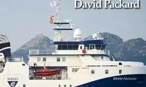 Half Made in China! 2025 World's Top Ships Ranking Released.