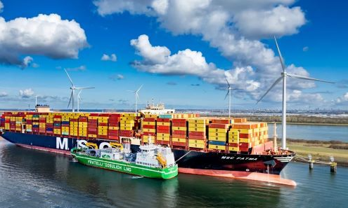 415 Ships! New Order Volume Plummets! Is the Green Shipping Market Heading into "Winter"?