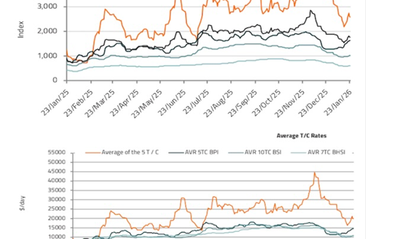 支线集装箱船需求强势走强