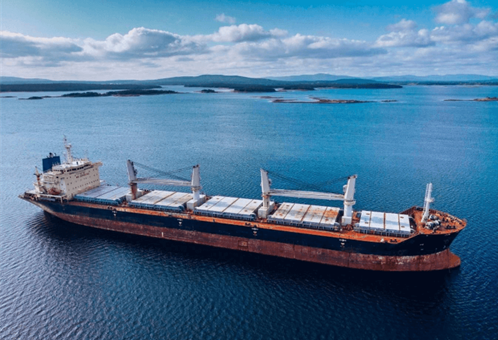 The second-hand bulk carrier market is booming: Chinese buyers lead, Greek shipowners adjust.