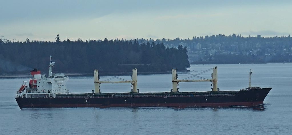 2300T MULTI-PURPOSE BULK CARRIER WITH BIG POWER