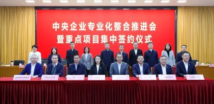China's First Central Enterprise Cruise Operation Platform Established, Boasting Largest Fleet in Asia.