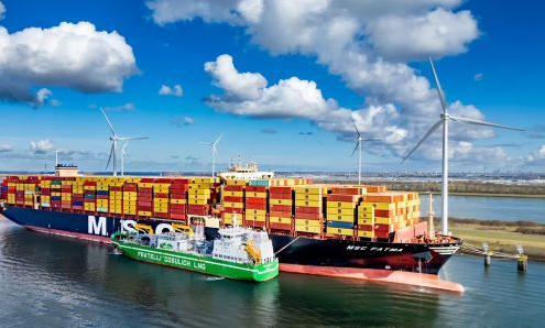 415 Ships! New Order Volume Plummets! Is the Green Shipping Market Heading into 